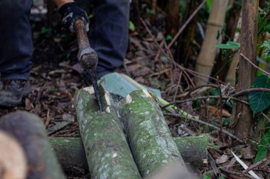 Ağaç gövdelerini kesen ya da kesen oduncu elleriyle ağır balta tutan bir adam.