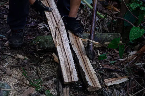Man Holding Heavy Axe Lumberjack Hands Chopping Cutting Wood Trunks Stock Photo