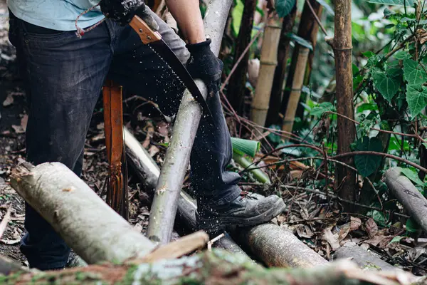 Man Holding Heavy Handsaw Axe Lumberjack Hands Chopping Cutting Wood Royalty Free Stock Photos