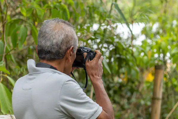 Dağdaki kıdemli doğa fotoğrafçısı - profesyonel fotoğrafçı ormanda doğanın fotoğraflarını çekiyor.