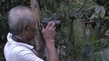 Dağdaki kıdemli doğa fotoğrafçısı - profesyonel film yapımcısı ormanda doğa videosu kaydediyor
