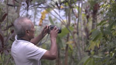 Dağdaki kıdemli doğa fotoğrafçısı - profesyonel film yapımcısı ormanda doğa videosu kaydediyor