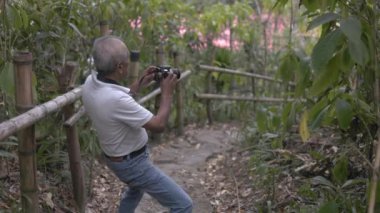 Dağdaki kıdemli doğa fotoğrafçısı - profesyonel film yapımcısı ormanda doğa videosu kaydediyor