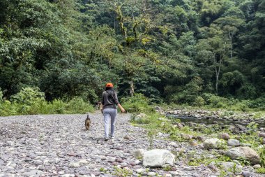 Köpeğiyle birlikte gezen şapkalı bir kadın. Nehrin kıyısında, kayalar ve bitki örtüsü olan bir ormanda.