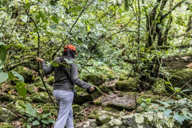 Şapkalı kadın tatilde bitki örtüsüyle ormanda yürüyor.