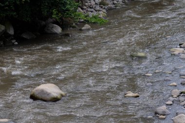 Yüzen enkaz ve kayalarla kirlenmiş bir nehir yakınlardaki yeşillikleri ve beton bir duvarı yansıtıyor, kentsel çevre sorunlarını vurguluyor, Bogota nehri