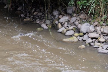 Yüzen enkaz ve kayalarla kirlenmiş bir nehir yakınlardaki yeşillikleri ve beton bir duvarı yansıtıyor, kentsel çevre sorunlarını vurguluyor, Bogota nehri