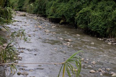 Yüzen enkaz ve kayalarla kirlenmiş bir nehir yakınlardaki yeşillikleri ve beton bir duvarı yansıtıyor, kentsel çevre sorunlarını vurguluyor, Bogota nehri
