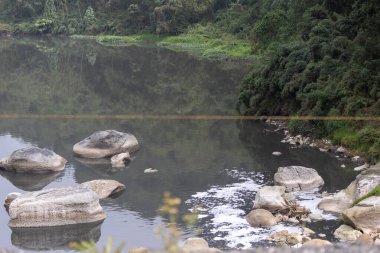 Yüzen enkaz, köpük ve kayalarla kirlenmiş bir nehir yakınlardaki bitki örtüsünü ve beton bir duvarı yansıtıyor, kentsel çevre sorunlarını vurguluyor, Bogota Nehri