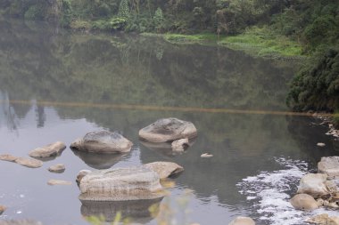Yüzen enkaz, köpük ve kayalarla kirlenmiş bir nehir yakınlardaki bitki örtüsünü ve beton bir duvarı yansıtıyor, kentsel çevre sorunlarını vurguluyor, Bogota Nehri
