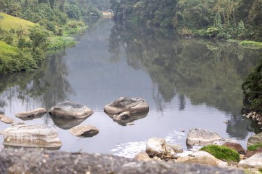 Yüzen enkaz, köpük ve kayalarla kirlenmiş bir nehir yakınlardaki bitki örtüsünü ve beton bir duvarı yansıtıyor, kentsel çevre sorunlarını vurguluyor, Bogota Nehri