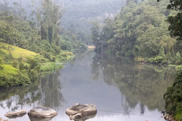 Yüzen enkaz, köpük ve kayalarla kirlenmiş bir nehir yakınlardaki bitki örtüsünü ve beton bir duvarı yansıtıyor, kentsel çevre sorunlarını vurguluyor, Bogota Nehri