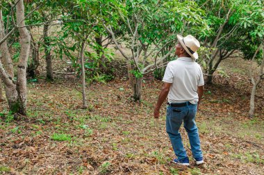 Son sınıf öğrencisi şapkasını takmış dağlardaki bir ormanda mutlu bir şekilde yürüyor ve dinleniyor.