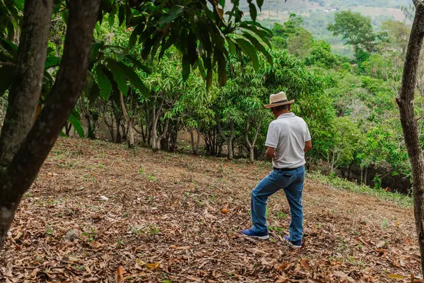 Son sınıf öğrencisi şapkasını takmış dağlardaki bir ormanda mutlu bir şekilde yürüyor ve dinleniyor.