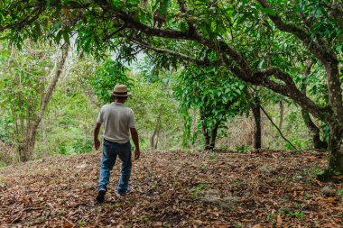 Son sınıf öğrencisi şapkasını takmış dağlardaki bir ormanda mutlu bir şekilde yürüyor ve dinleniyor.