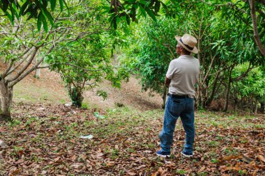 Son sınıf öğrencisi şapkasını takmış dağlardaki bir ormanda mutlu bir şekilde yürüyor ve dinleniyor.