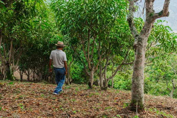 Son sınıf öğrencisi şapkasını takmış dağlardaki bir ormanda mutlu bir şekilde yürüyor ve dinleniyor.