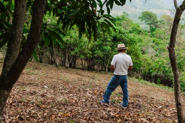 Son sınıf öğrencisi şapkasını takmış dağlardaki bir ormanda mutlu bir şekilde yürüyor ve dinleniyor.