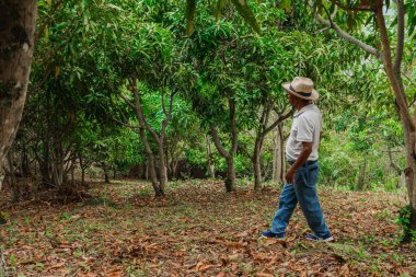 Son sınıf öğrencisi şapkasını takmış dağlardaki bir ormanda mutlu bir şekilde yürüyor ve dinleniyor.