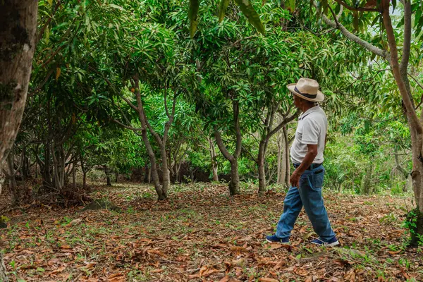 Son sınıf öğrencisi şapkasını takmış dağlardaki bir ormanda mutlu bir şekilde yürüyor ve dinleniyor.