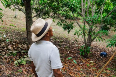 Son sınıf öğrencisi şapkasını takmış dağlardaki bir ormanda mutlu bir şekilde yürüyor ve dinleniyor.
