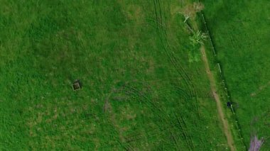 İnsansız hava aracının bakış açısından ormandaki yeşil bir tarlanın havadan görünüşü