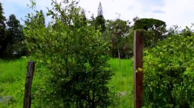 Bir ormanın üzerinde uçan hava manzarası ve bir drondan dağlardaki evler