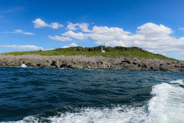 Dramatik uçurumlar ve sudaki yemyeşil bitki örtüsü ile manzaralı bir ada. (4)