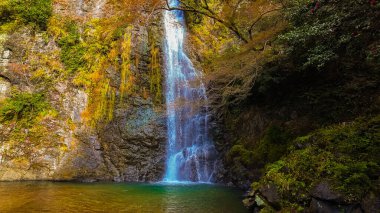 A cascading waterfall plunges down a rocky cliff, framed by vibrant autumn foliage at Minoh Osaka clipart