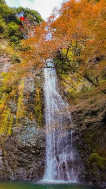 Yükselen bir şelale, canlı sonbahar yaprakları ve yemyeşil yeşilliklerle çerçevelenmiş kayalık bir uçurumdan aşağı dalıyor.