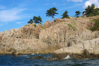 Denizden yükselen engebeli kayalıklar, parlak mavi gökyüzünün zeminine dayanan birkaç dayanıklı ağaçla kaplı..