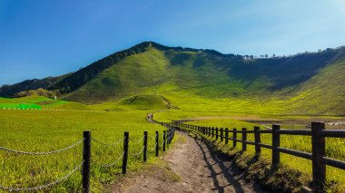 Parlak yeşil tarlalarda dolambaçlı bir yol açık mavi gökyüzünün altındaki uzak bir dağa çıkar..