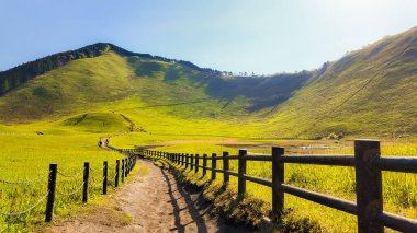 Parlak yeşil tarlalarda dolambaçlı bir yol açık mavi gökyüzünün altındaki uzak bir dağa çıkar..