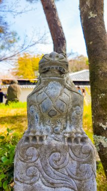 Kyoto, 2025 April 25. A weathered stone guardian lion statue stands under trees in a sunny temple ground.