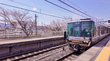 Güneşli bir istasyon peronunda, çiçek açan kiraz ağaçları ve açık mavi gökyüzü tarafından kuşatılmış bir tren..