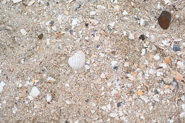 Песок Пляже Песок Пляже — стоковое фото