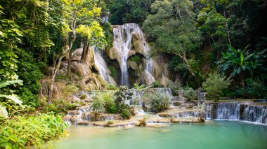  Şelale, Tat Kuang Si Şelalesi, Luang Prabang, Laos turistik merkezi, doğa, Luang Prabang 'da turistler için favori bir yan gezi..