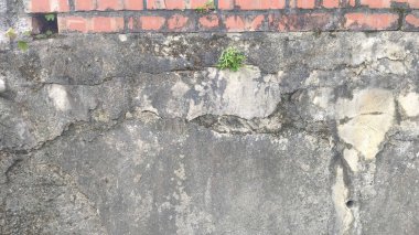 Üzerinde küçük ağaçlar büyüyen eski gri beton zemin.