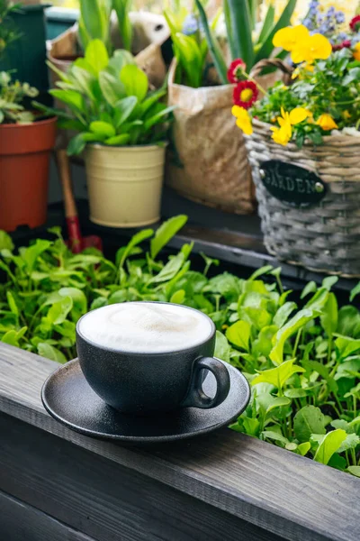 Cup of coffee on balcony among green plants and flowers