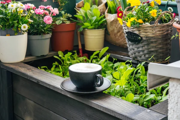 Cup of coffee on balcony among green plants and flowers