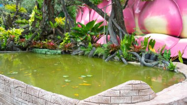 Gölete düşen yapraklı orta büyüklükte bir göletin resmi yeşil yosunları büyütür. Arkada, titizlikle ekilmiş çok güzel yapraklı süs bitkileri var..