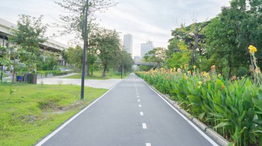 Konum fotoğrafları. Yüzü temiz, arkası bulanık. Yol boyunca asfalt ile döşenmiş beton yol, turuncu-sarı kanna çiçeklerinden oluşan yemyeşil çalılarla doluydu. Sessiz bir park valizi.