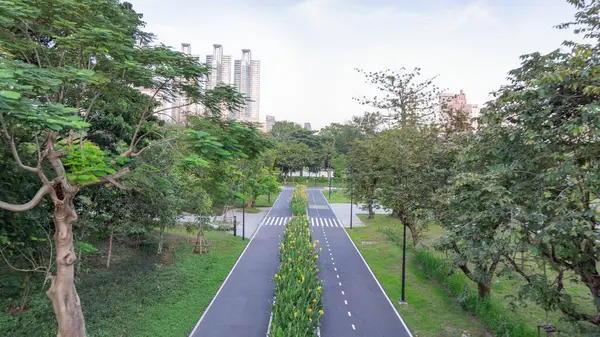 Sabahları halka açık bir parkta egzersiz yapmak için kullanılan koşu bandının resmi. Bu bahçede düzenli ve güzel bir şekilde büyüyen ağaçlar var. Büyük şehirdeki yüksek binaların arasında