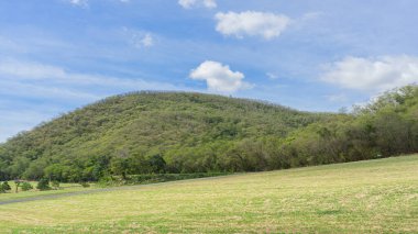 Konum fotoğrafları Yeşil Dağ düzlüklerinde birçok ağaç yetişiyor. Yoldan geçenlerin olmadığı geniş bir çim alanı. Gökyüzünde hafif bulutlar var, hava temiz ve doğal atmosfer sakin. Uygun. 