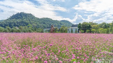 Fotoğrafçılığı seven insanlar için uygun tüm alanda açan küçük pembe çiçekler. Etrafı yeşil ağaçlarla çevrili ve arka planda soluk bir sisle kaplı dağları gördü. 