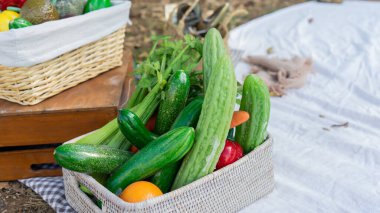 Salatalık, kavun, havuç ve çan biberi de dahil olmak üzere beyaz önlüklü krema beyazı bir sepetin içinde üst üste dizilmiş sebzelerin görüntüsü..