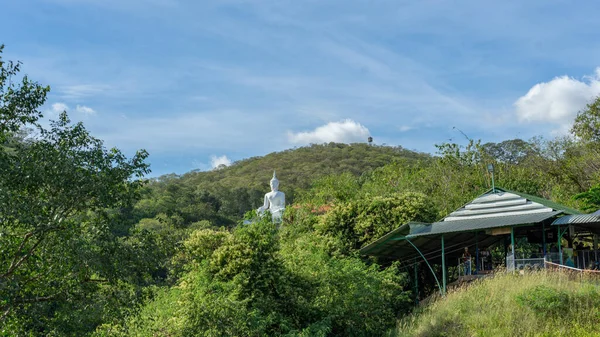 Picture of a large white Buddha statue Located in the middle of the mountain It is beautiful and peaceful. Among the various trees Even seen from a distance