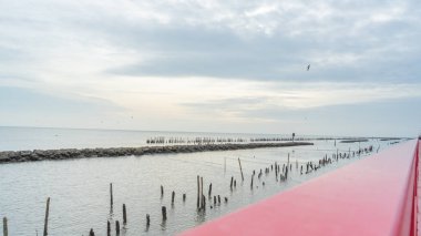 Saphan Daeng 'den dönen bir grup turistin fotoğrafı. Mangrov ormanında deniz suyunun tatlı suyla buluştuğu güzel doğal atmosferin resimlerini gördükten sonra.
