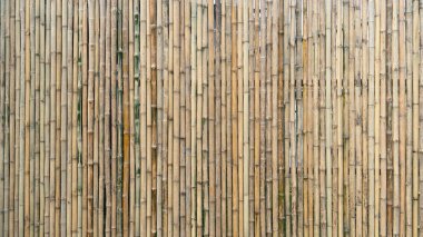 Alternatif dikey segmentlerle doğrusal bir yüzey görüntüsü. Bambudan yapılmıştır. Siyah, gri ve yeşile dönüşümlü olarak tavuk yumurtası kabuğuna benzer yumuşak bir rengi vardır. Bazı kısımlarda 