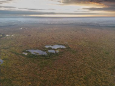 Estonya doğası, Marimetsa bataklığında gözlem kulesi küçük göllerin yanında, yazın insansız hava aracı manzarası. Yüksek kalite fotoğraf